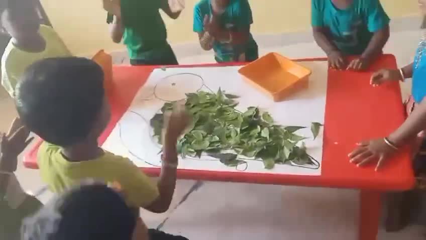 Nature observation activity video
